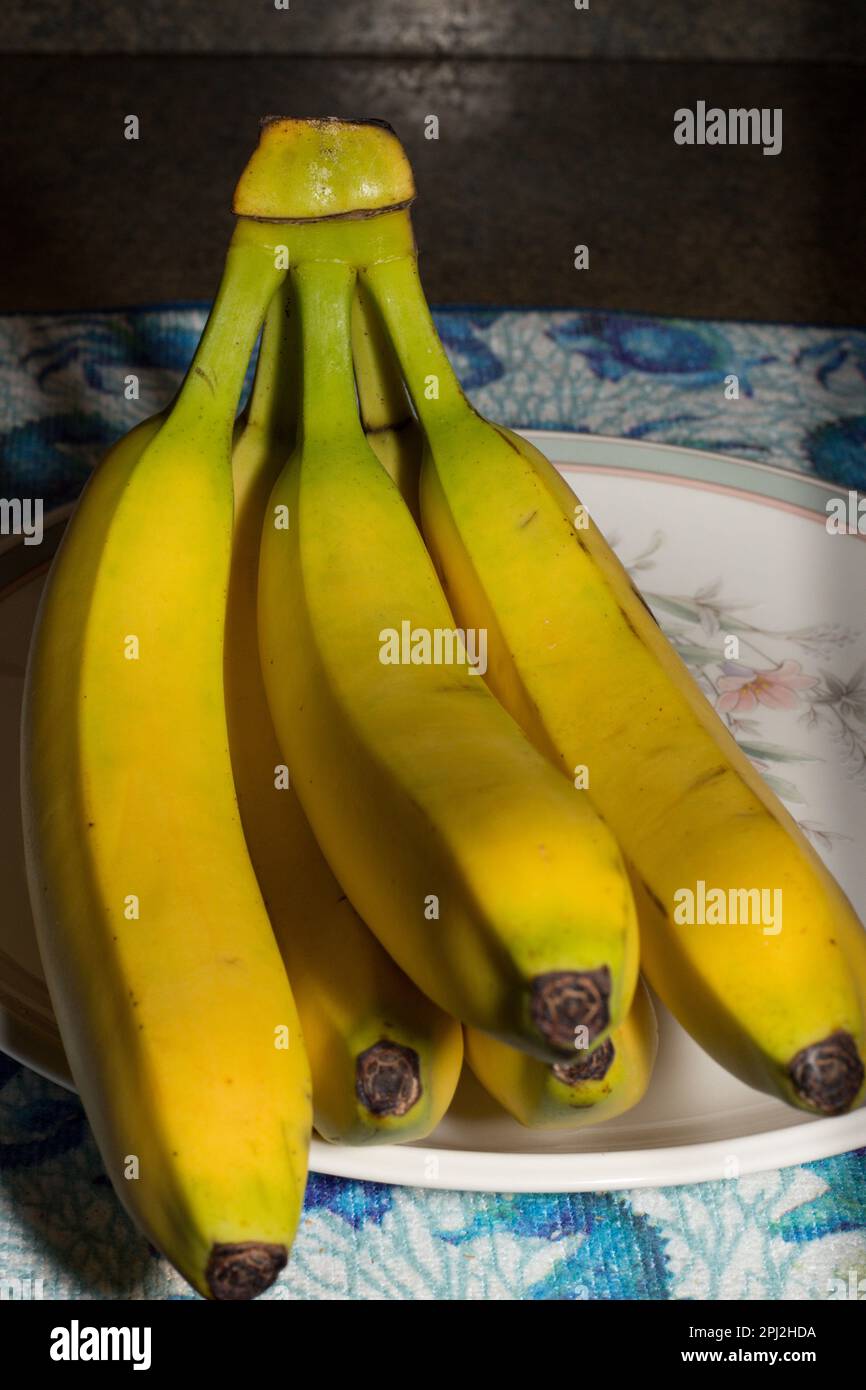 Le banane sono un frutto commestibile allungato - botanicamente una bacca. Banane sane ricche di potassio biologico! Foto Stock