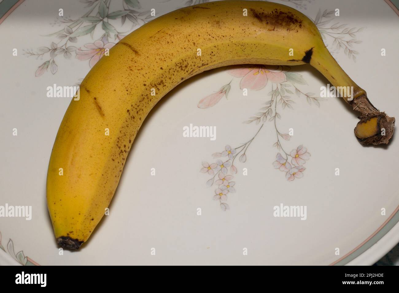 Le banane sono un frutto commestibile allungato - botanicamente una bacca. Banane sane ricche di potassio biologico! Foto Stock