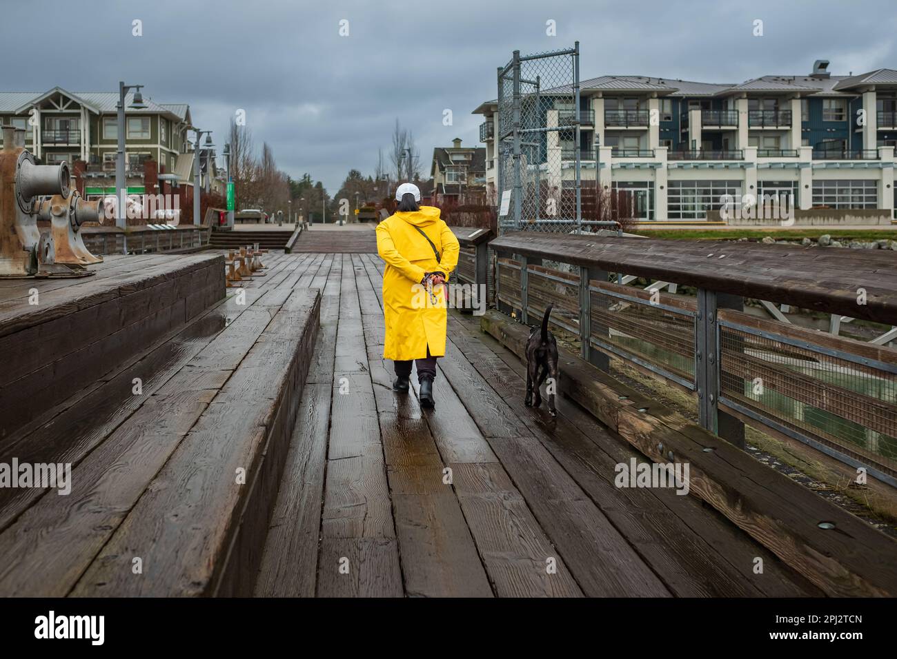 Camminare il cane in impermeabile giallo il giorno piovoso. Donna e cane in una passeggiata al guinzaglio su un passaggio nel parco urbano in condizioni di maltempo. Foto strada, selezionare Foto Stock