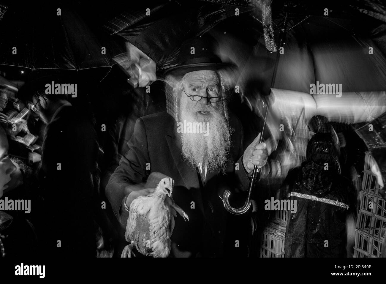 Un ebreo hassidico fa Kaparos in preparazione per Yom Kippur a Boro Park, Brooklyn Foto Stock