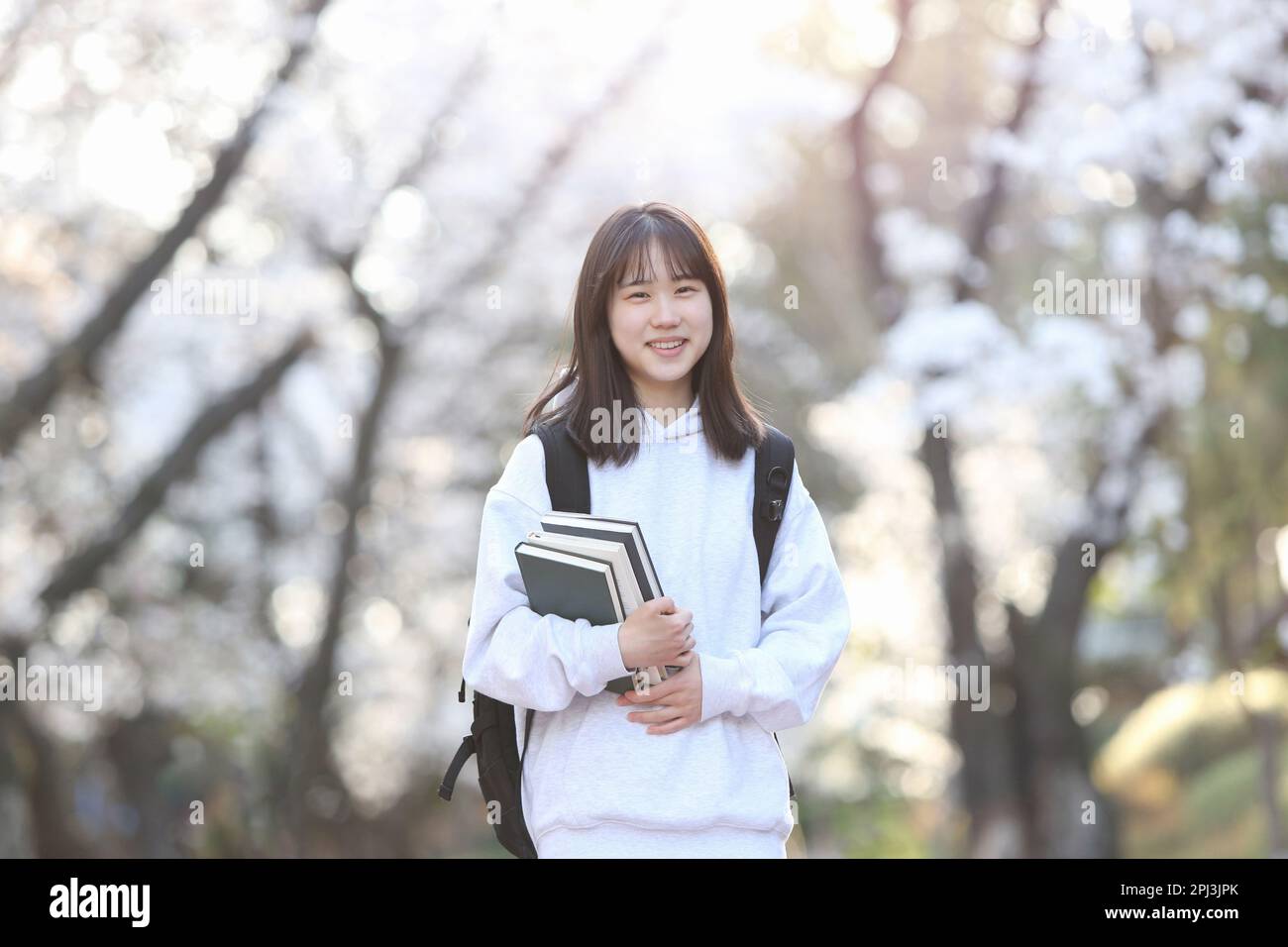 Stagione di ammissione Scuola di Primavera studenti di scuola superiore femmina e studenti universitari sorridendo luminoso con espressioni felici di fronte alla fioritura dei ciliegi tre Foto Stock