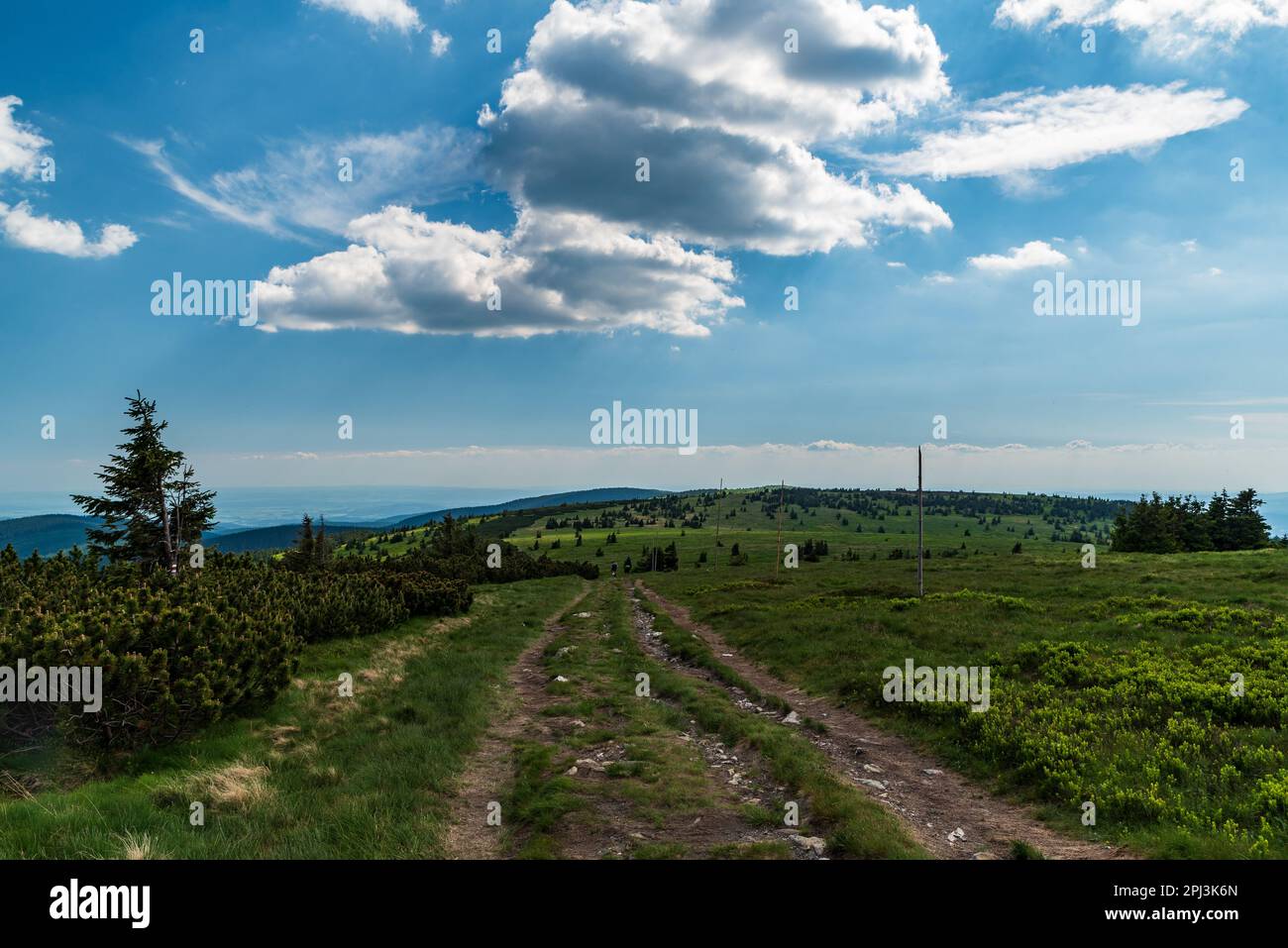 Bella estate sera sotto Vysoka buca collina cima in Jeseniky montagne nella repubblica Ceca Foto Stock