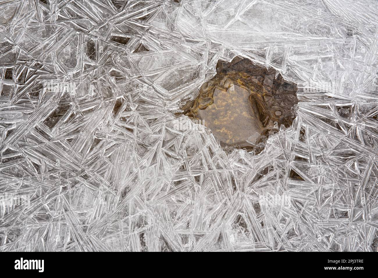 Ghiaccio sul fiume congelato che forma strutture cristalline, primo piano macro dettaglio dall'alto, acqua visibile nel piccolo buco - astratto sfondo invernale Foto Stock