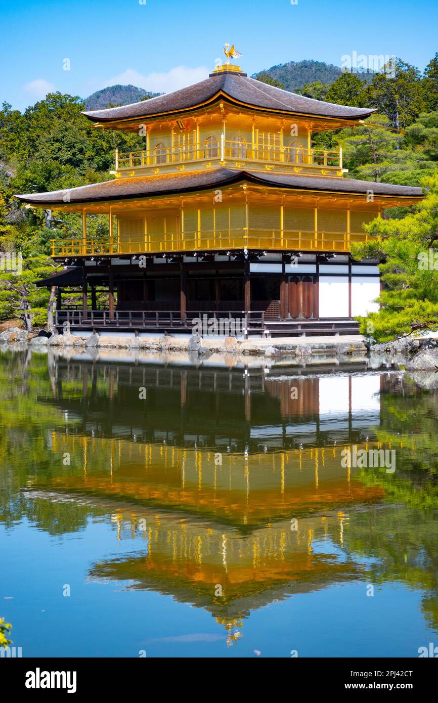 Vista del famoso Padiglione d'Oro al Tempio Kinkaku ji (d'Oro) a Kyoto, Giappone Foto Stock