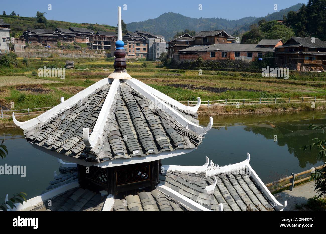 Repubblica popolare Cinese, Provincia di Guangxi, Contea di Sanjiang, Maan: Campi coltivati nel mezzo del villaggio di Dong, con il tetto di una strada Foto Stock