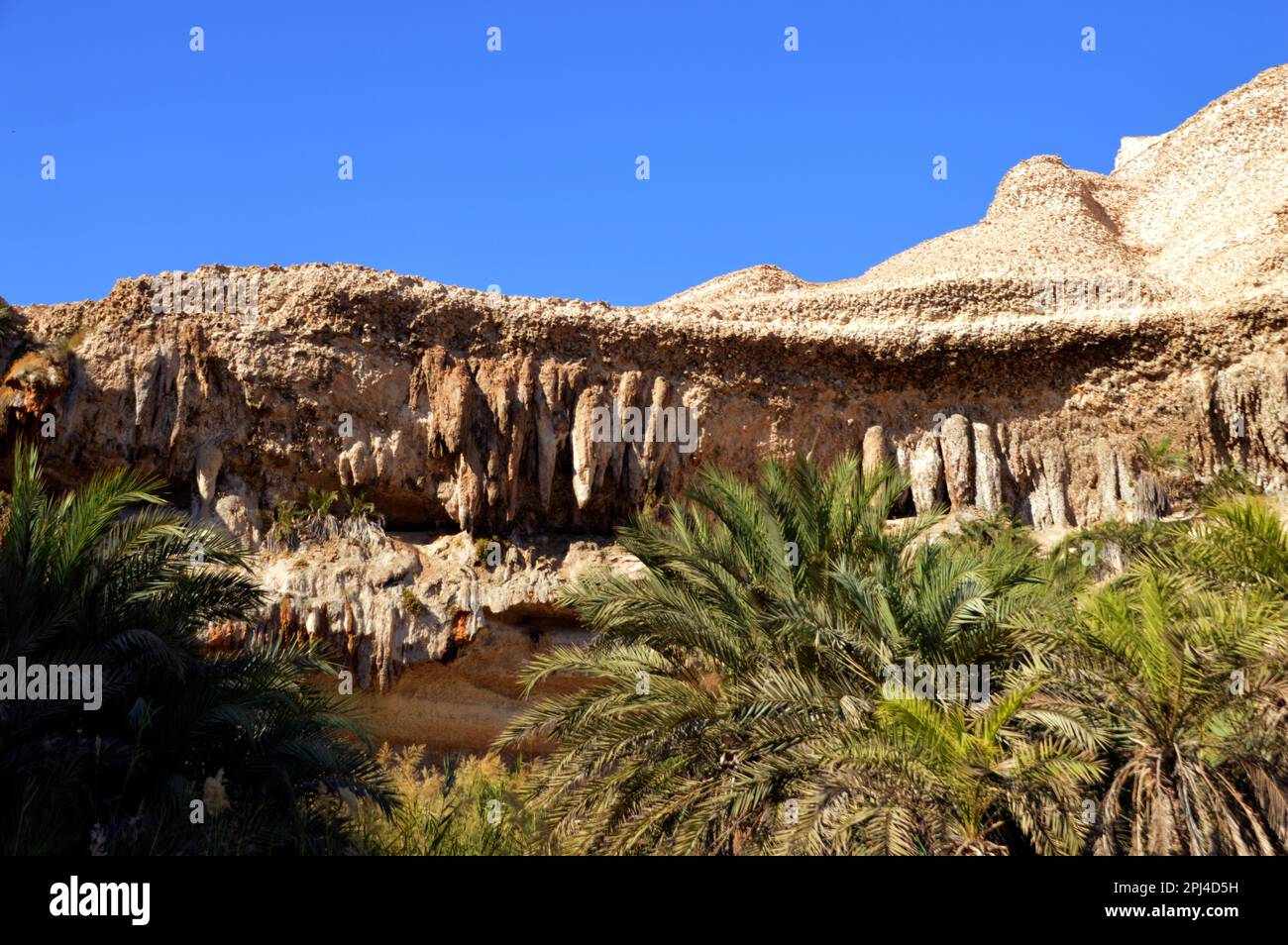 Oman: Un'oasi a Wadi Shuwaymiyah, la piscina sostenuta da scogliere calcaree con bizzarre stalattiti e grotte e frange di palme. Foto Stock