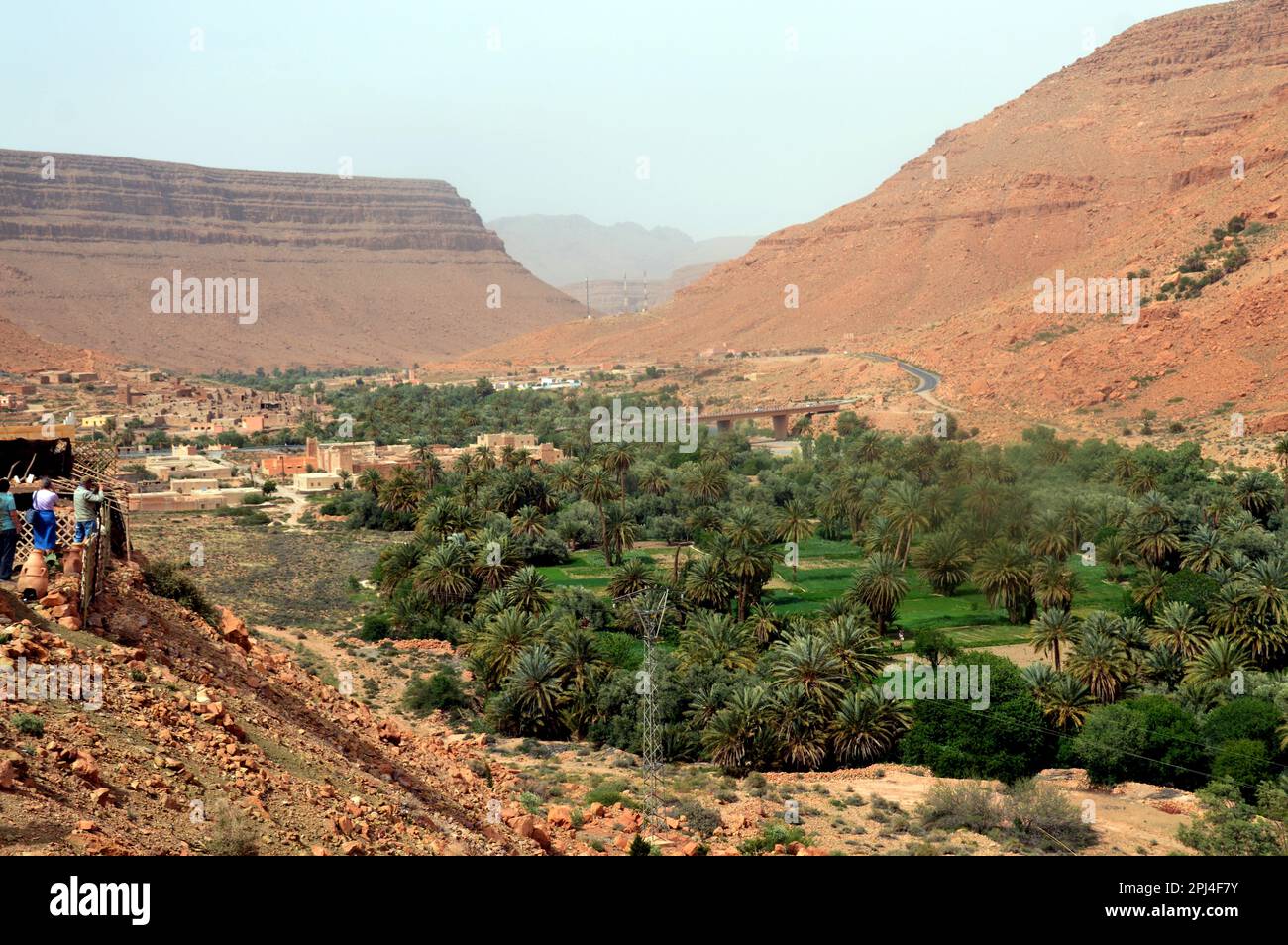 Marocco, montagne del Medio Atlante: Ouadi Ziz (valle del fiume Ziz), con vista sul sistema di oasi del fiume Tafilalet, dove crescono oltre 700.000 alberi di palma. Foto Stock