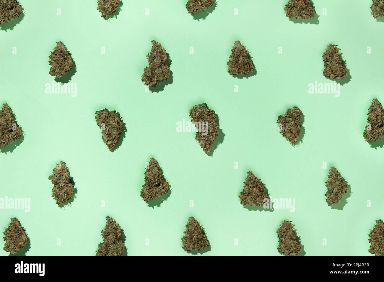 Un modello di germogli secchi di marijuana medica disposti a scacchiera, su uno sfondo di menta. Foto Stock
