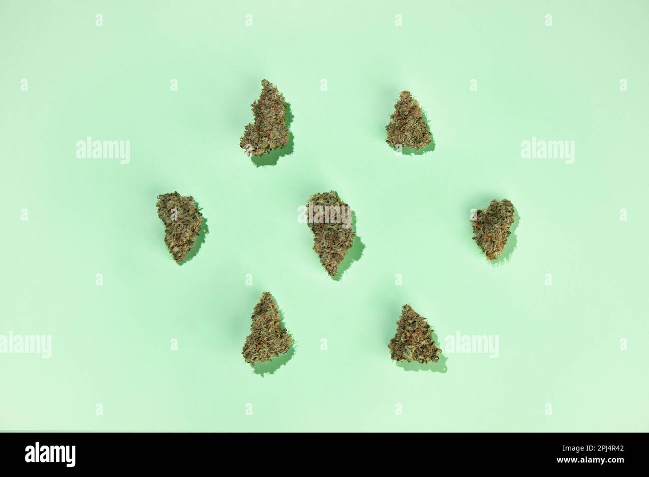 Sette germogli di marijuana asciutti si trovano su uno sfondo di menta. Copia spazio, piatto Foto Stock