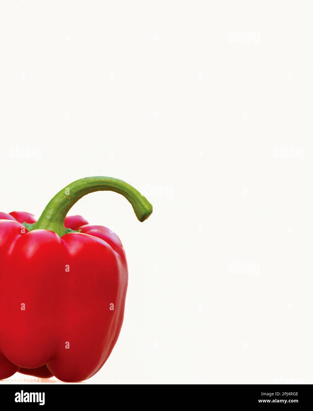 Peperone rosso su fondo bianco. Capsicum annuum. Foto Stock
