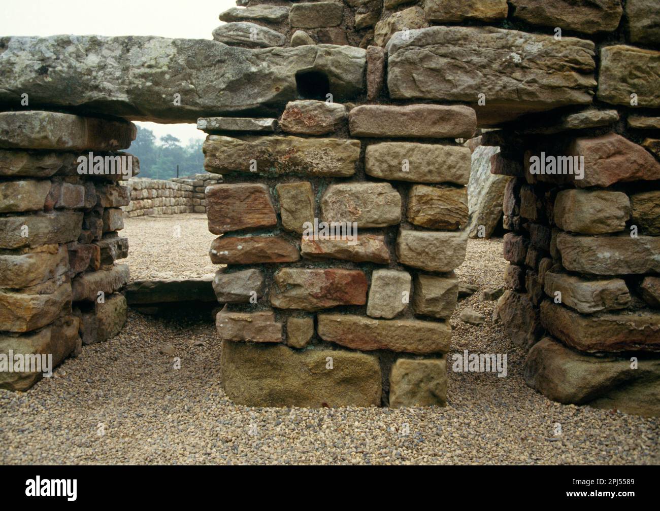 La Bath House di Chester, il Muro di Adriano. Pilastri che sostengono il pavimento della stanza calda, allowando aria calda dalla fornace per circolare. Foto Stock