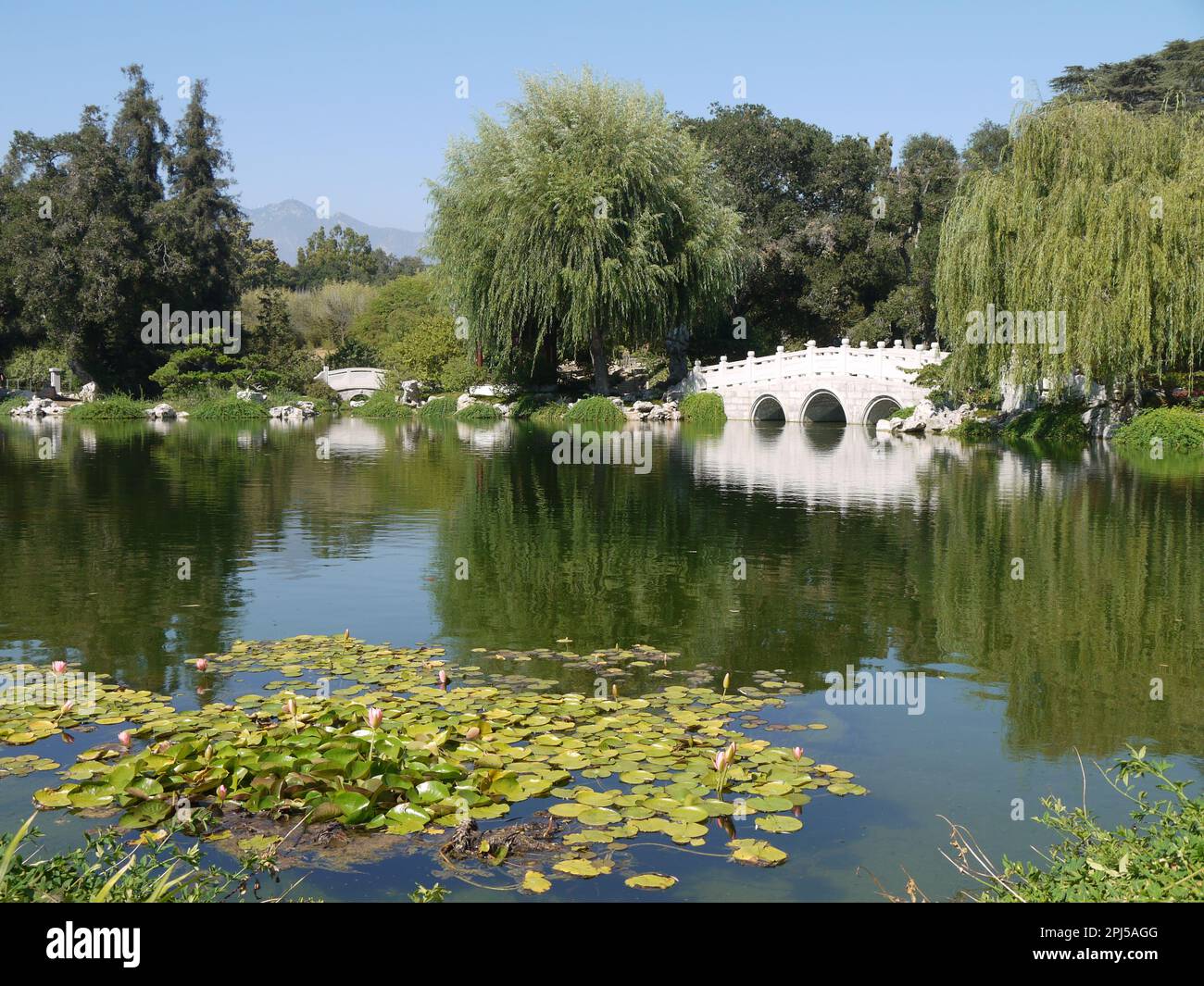 Jade Ribbon Bridge sul lago di Fragrance riflessa nel giardino cinese di Fragrance fluente, Huntington Botanical Gardens, San Marino Foto Stock