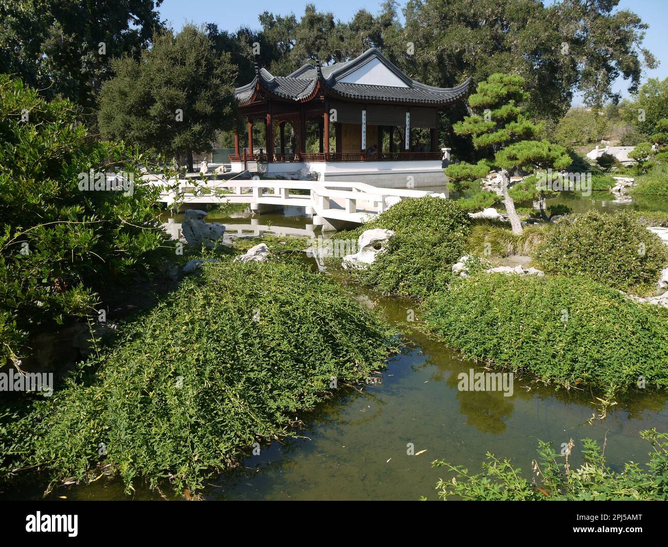 Amore per il Padiglione del Loto con il Ponte della gioia del Pesce nel Giardino Cinese della Fragrance fluente, Giardini Botanici di Huntington, San Marino Foto Stock