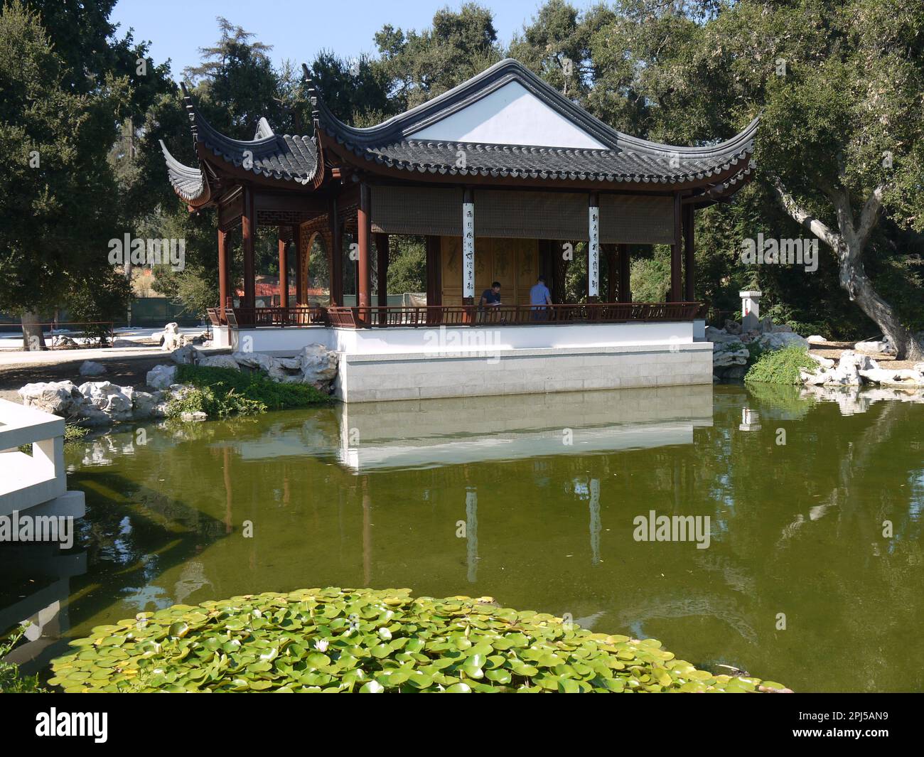 Amore per il Padiglione di Loto sopra il Lago di Fragrance riflessa nel Giardino Cinese di Fragrance fluente, Giardini Botanici di Huntington, San Marino Foto Stock