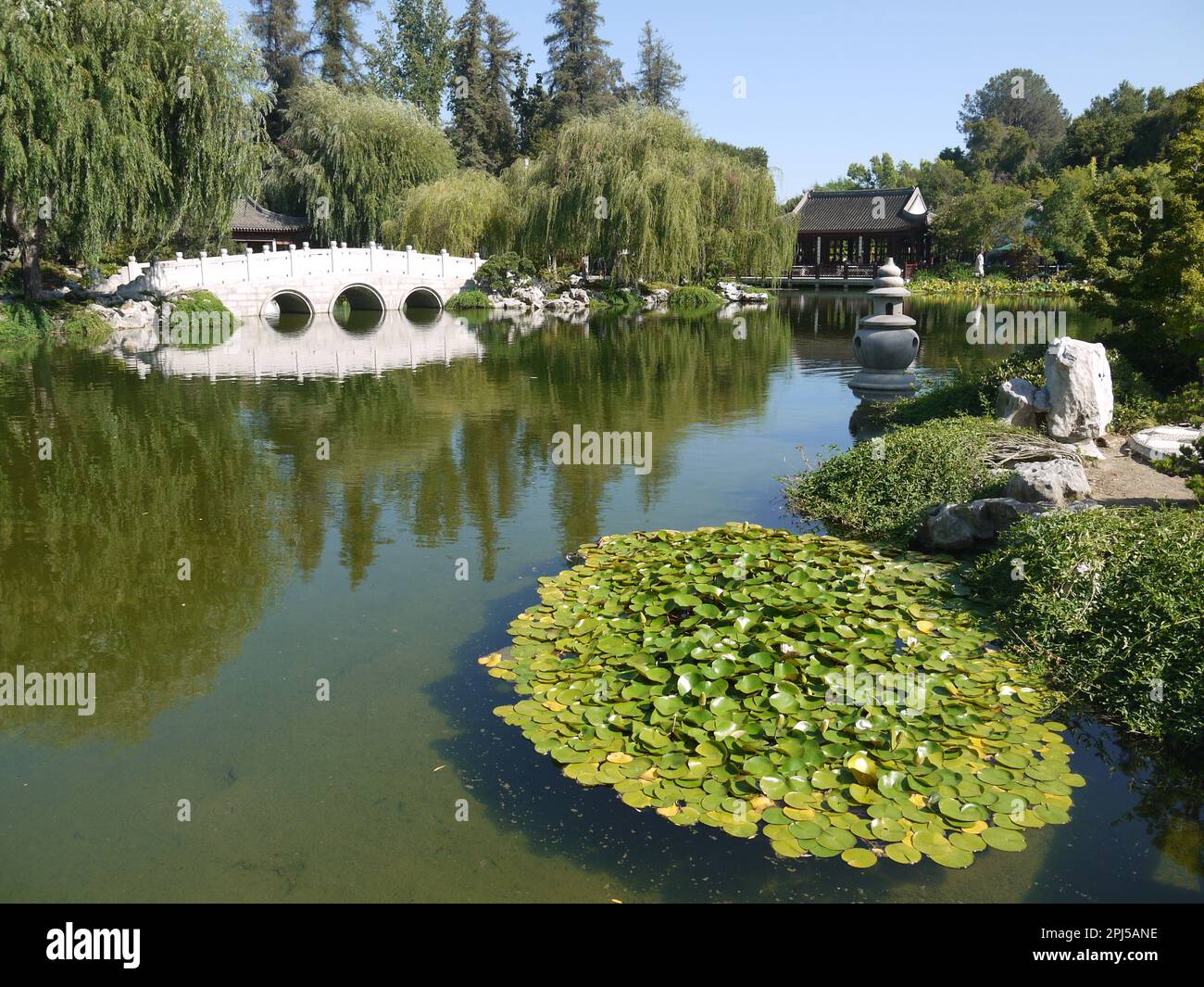 Ponte Jade Ribbon sul Lago di Fragrance riflessa, con Hall of the Jade Camellia sulla destra - Giardino Cinese, Giardini Botanici di Huntington Foto Stock