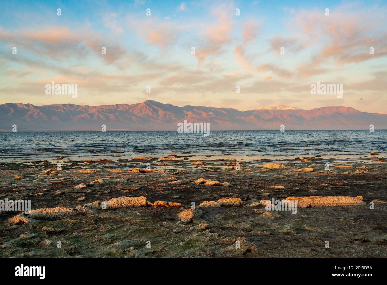 Nuvole macchiate di pesche si estendono su una cresta montuosa rosata e acqua increspata, con file di crosta arancione davanti, al Salton Sea, California. Foto Stock