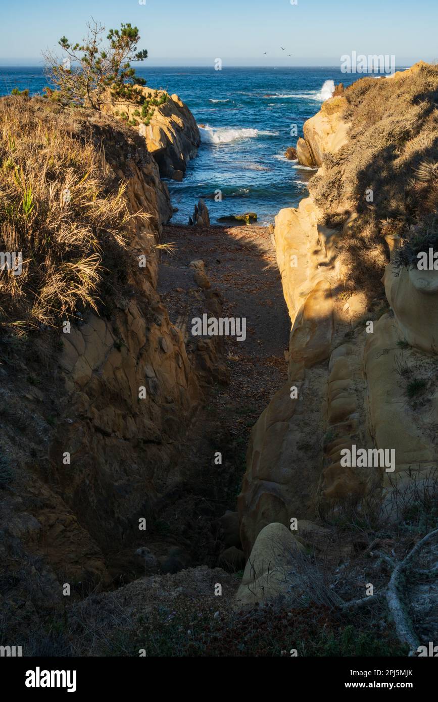 Punto Lobos Riserva Naturale Statale, California Foto Stock