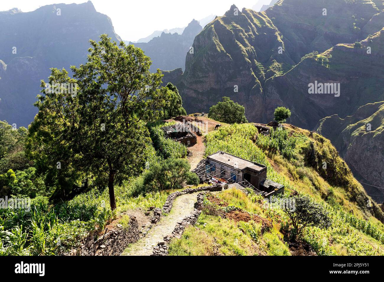 Casa tradizionale in cima alla montagna con montagne sul retro, circondata da campi verdi terrazzati, isola di Santo antao, cabo verde Foto Stock