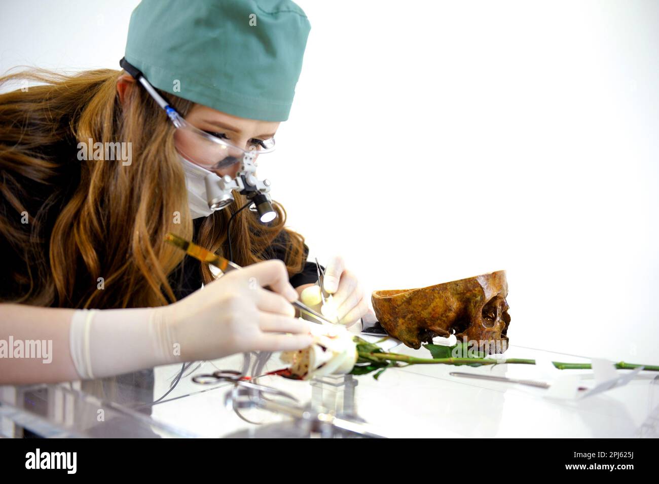 Vero medico dentale tiene gli occhiali medici con lenti binoculari, in clinica odontoiatrica. Occhiali da dentista o ottica dentale su laboratorio medico ospedaliero. Attrezzature tecnologiche moderne in sala operatoria Foto Stock