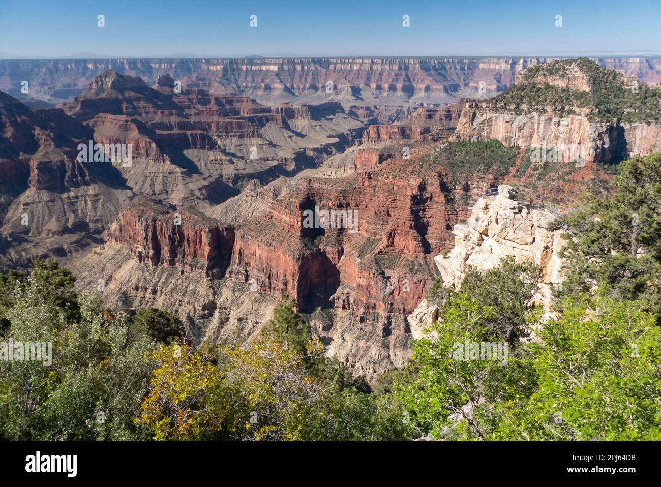 Arizona, USA: Il Grand Canyon preso dal bordo nord Foto Stock