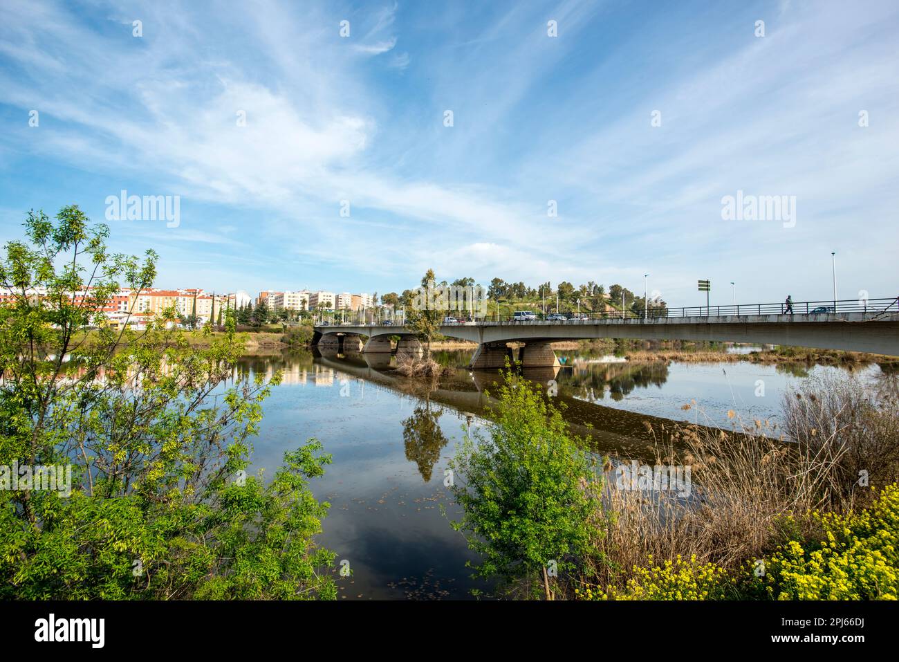 Ponte di autonomia, Badajoz Foto Stock