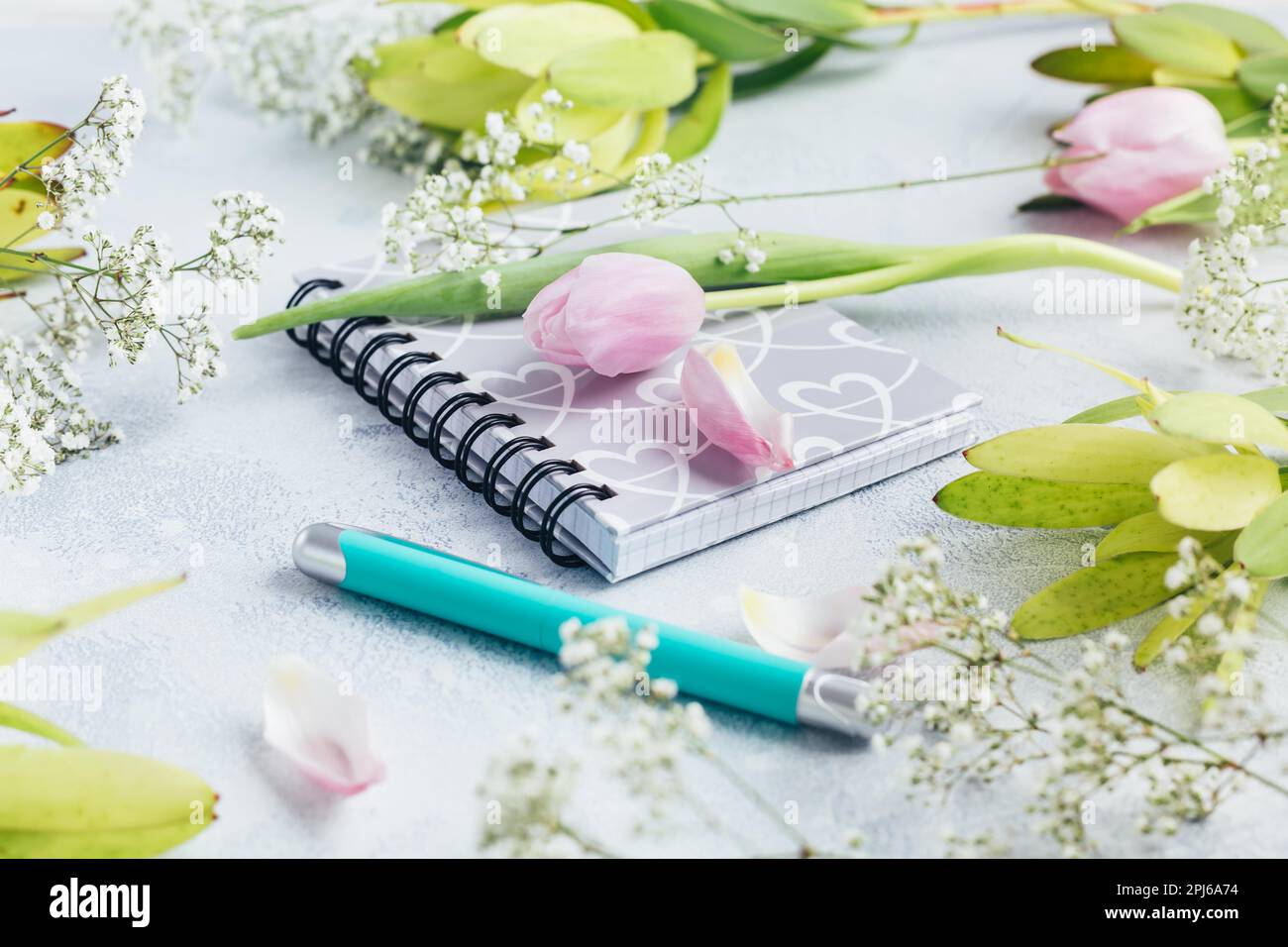 Area di lavoro con diario, notebook, penna, fiori su sfondo azzurro. Scrivania da ufficio domestico. Vista dall'alto sfondo femminile. Piano di giacitura, vista dall'alto Foto Stock