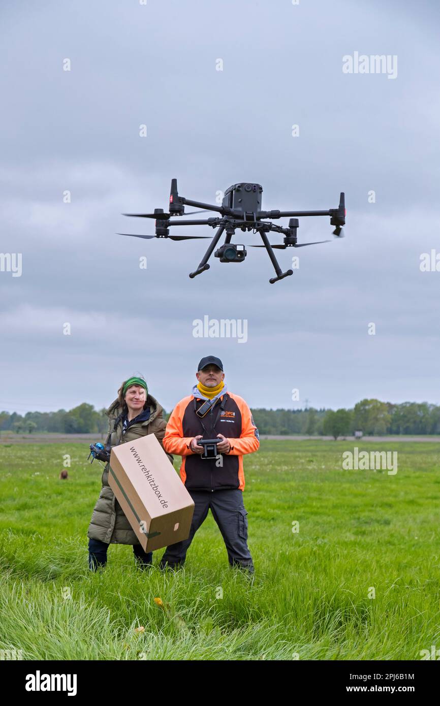Team di soccorso che gestisce il drone professionale per individuare i caprioli nascosti nell'erba con termocamera prima di tagliare i prati in primavera Foto Stock