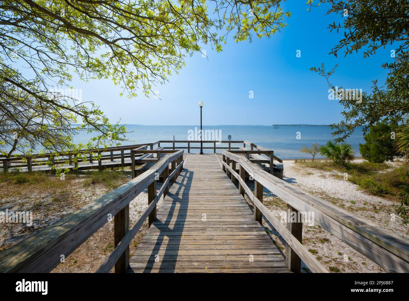 Oaks vicino alla duna della baia passerella nella storica St. Andrews Panama City Florida USA Foto Stock