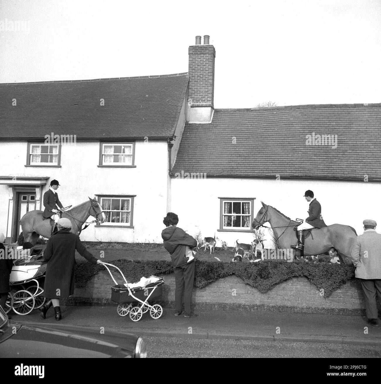 1965, hounds storico di Thurlow, cani e cavalli nel giardino anteriore del cottage, gente locale in piedi sul marciapiede, sguardo sopra, uno che tiene il suo bambino infante, accanto al passeggino, Inghilterra, Regno Unito. La caccia al giovedì è stata fondata nel 1858. Foto Stock