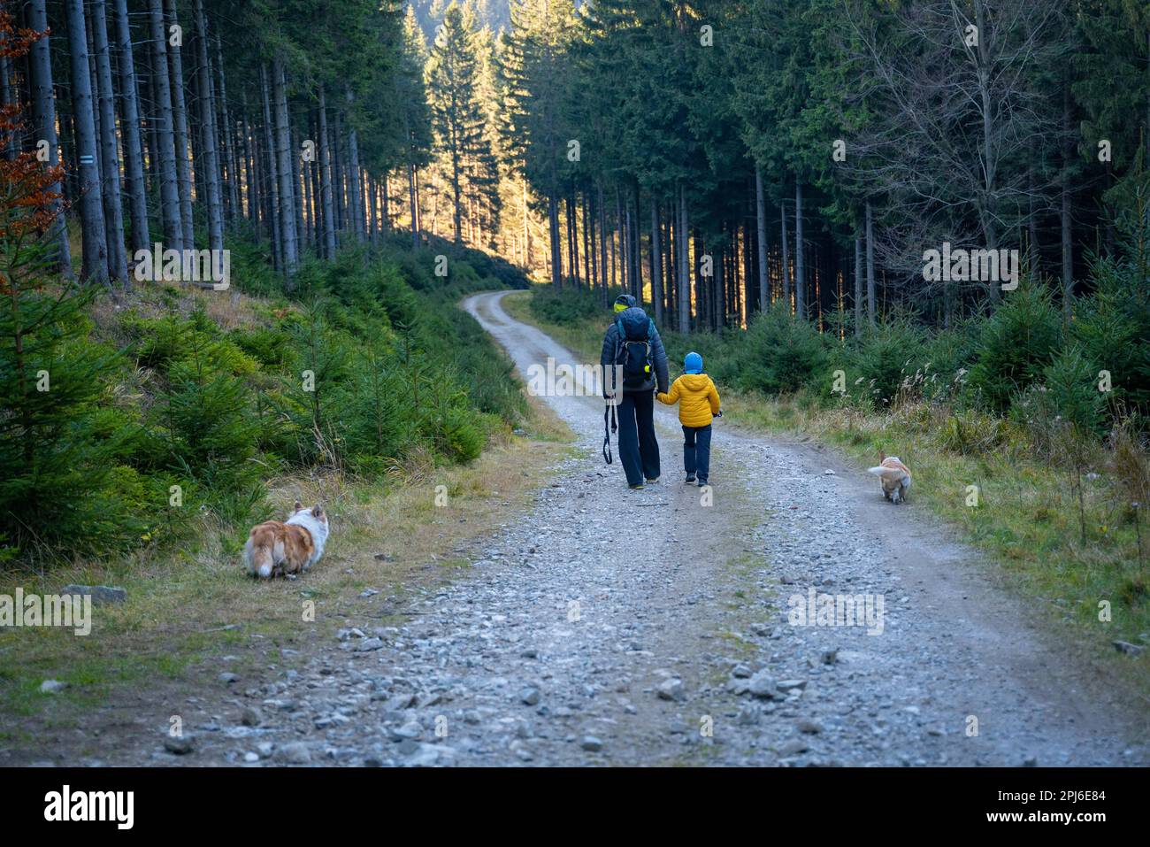 Una madre con un bambino e un cane camminano lungo il sentiero escursionistico di montagna. Tempo trascorso in famiglia. Montagne polacche, Polonia, Europa Foto Stock