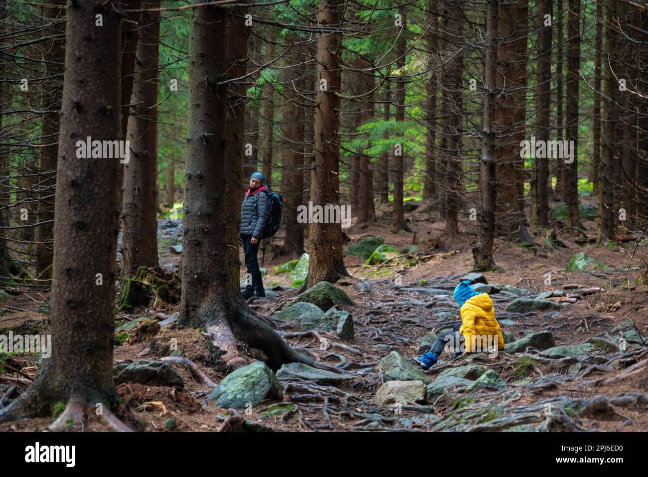 Il bambino scivolò e cadde sul terreno bagnato e in pendenza. Montagne polacche, Polonia, Europa Foto Stock