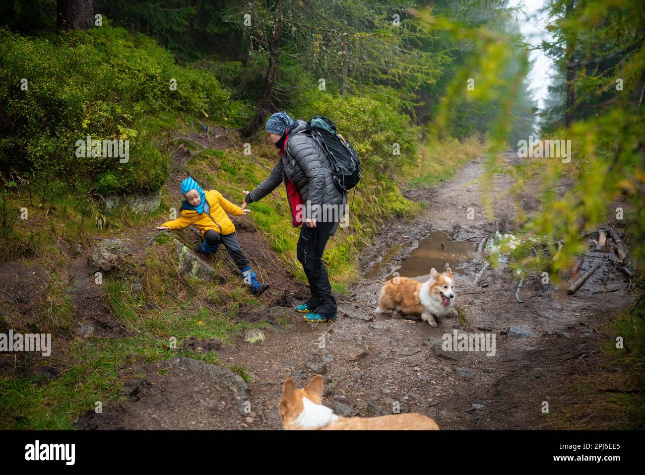 Il bambino scivolò e cadde sul terreno bagnato e in pendenza. Montagne polacche, Polonia, Europa Foto Stock