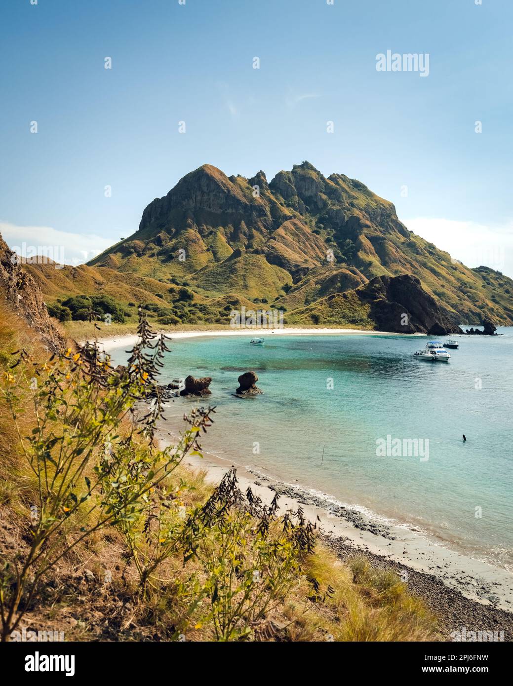 Isola di Komodo - Indonesia - Parco Nazionale di Komodo Foto Stock