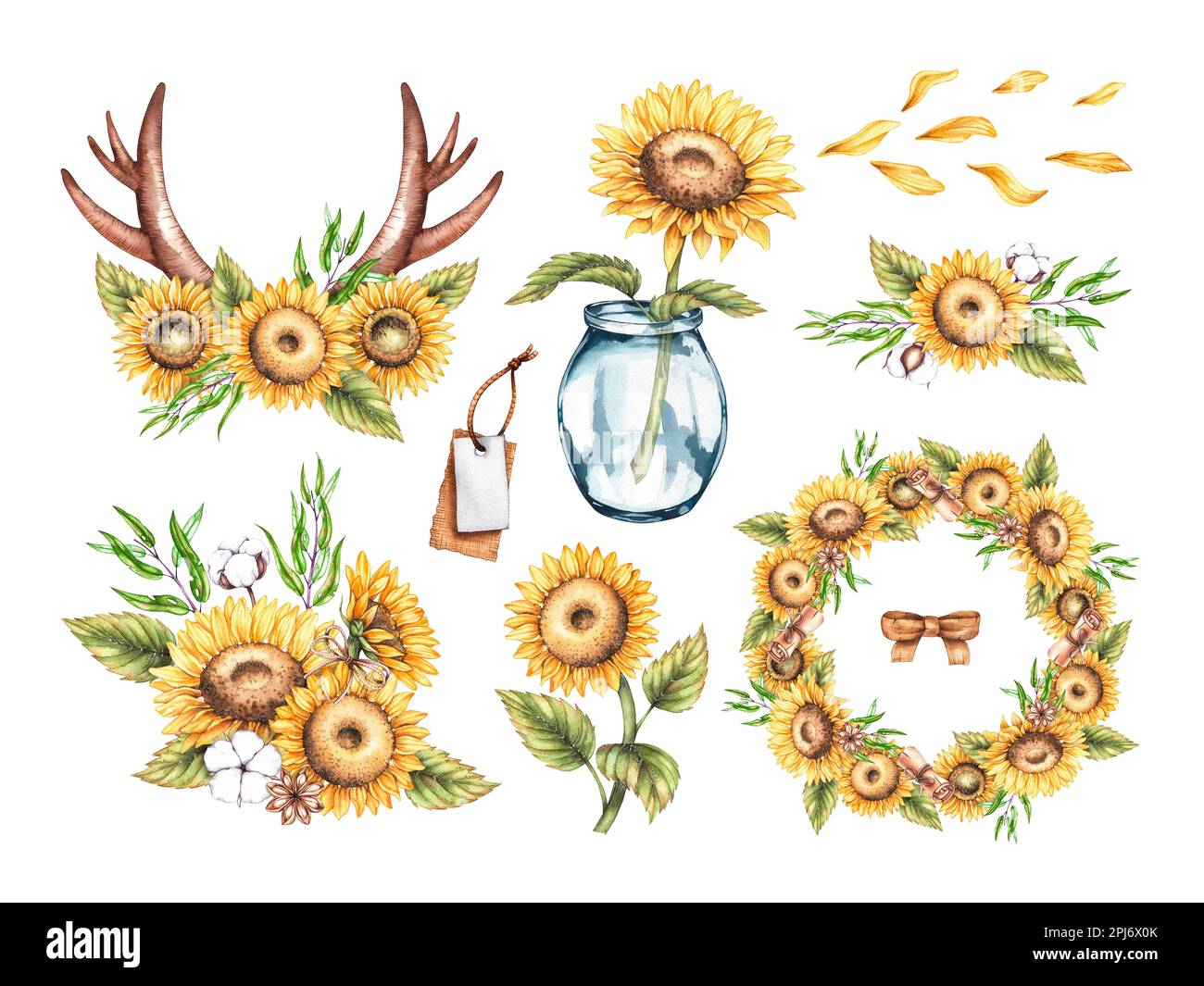 Acquerello insieme di illustrazioni di girasole con corona, corna, vaso, bouquet su sfondo bianco per la progettazione di adesivi, cartoline, volantini, Foto Stock
