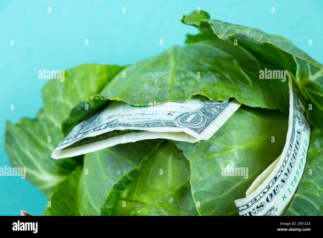testa verde fresca di cavolo e un primo piano del dollaro americano Foto Stock