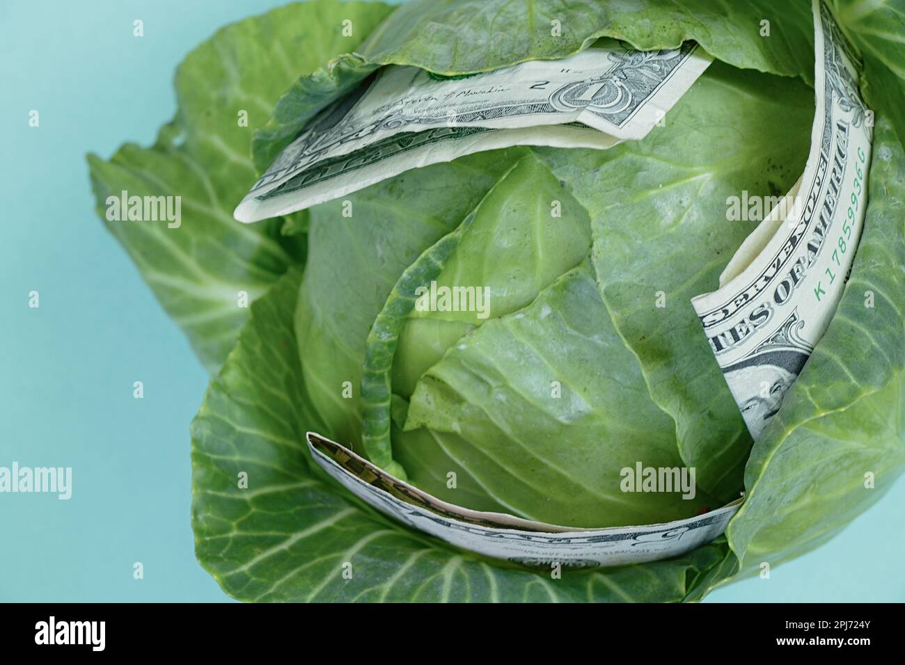 testa verde fresca di cavolo e un primo piano del dollaro americano Foto Stock