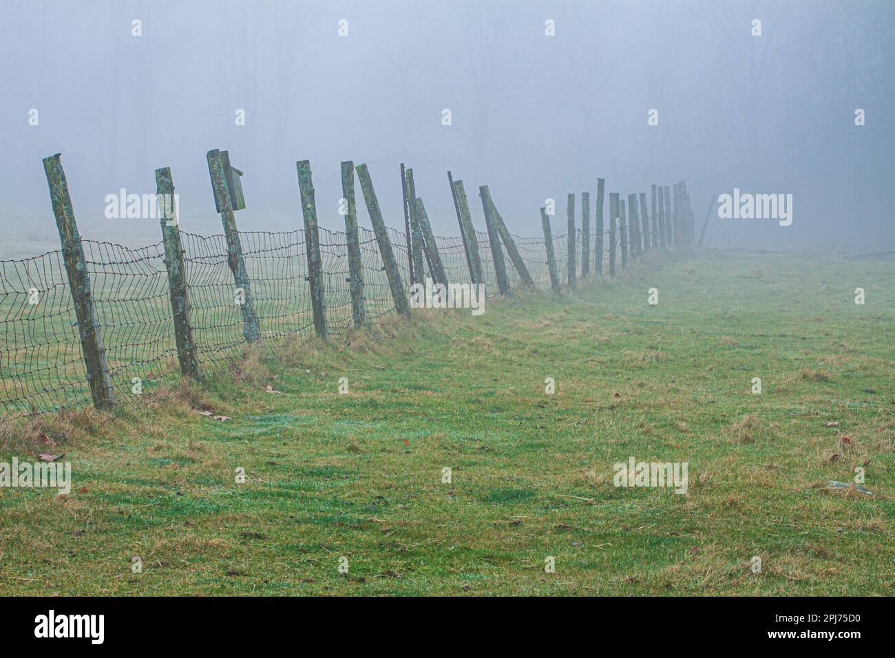Un campo in una fattoria rurale in una piccola città in Massachusetts Foto Stock