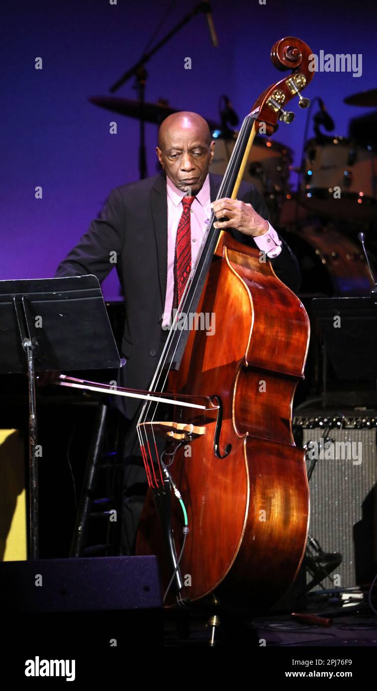 Marzo 30, 2023, New York City, New York, USA: THE TITANS OF JAZZ BASS, REGGIE WORKMAN, si esibisce durante il concerto di gala annuale della Fondazione Jazz di Americaâ's â's Great Night in˜Harlemâ's Gala Concert presso l'Apollo Theater (Credit Image: © Nancy Kaszerman/ZUMA Press Wire) SOLO PER USO EDITORIALE! Non per USO commerciale! Foto Stock