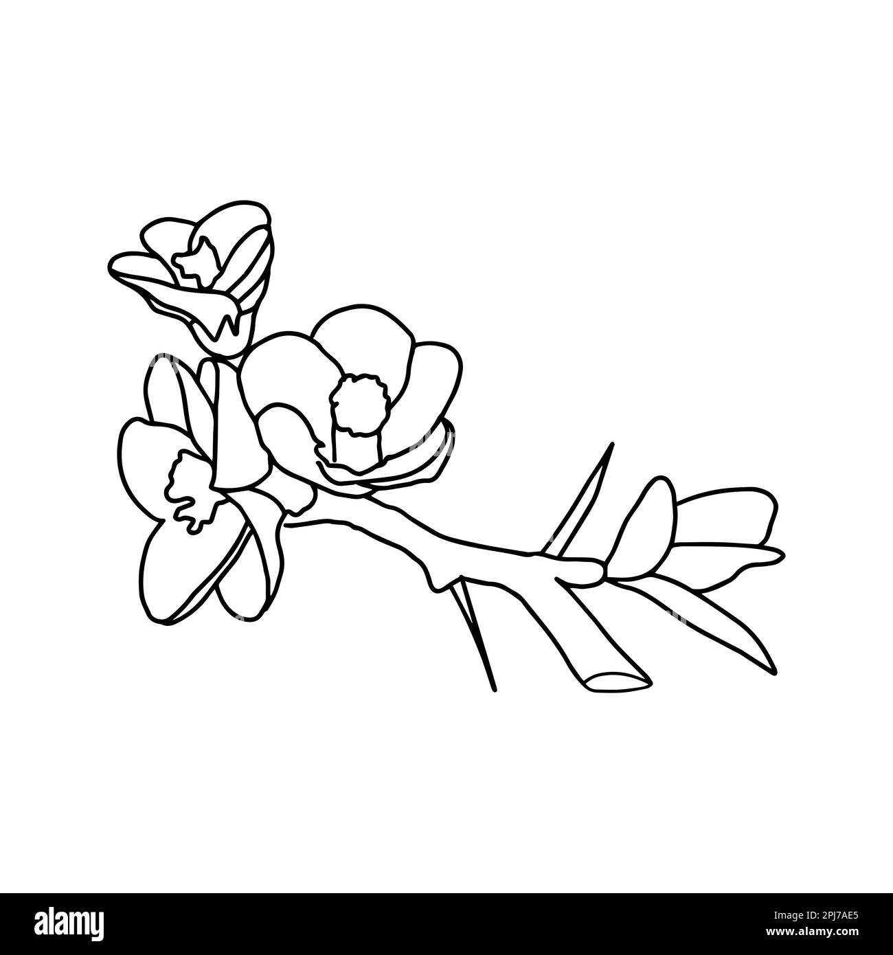 Ramo di albero con disegni di fiori. Disegno a mano illustrazioni botaniche linea art. Vettore Illustrazione Vettoriale