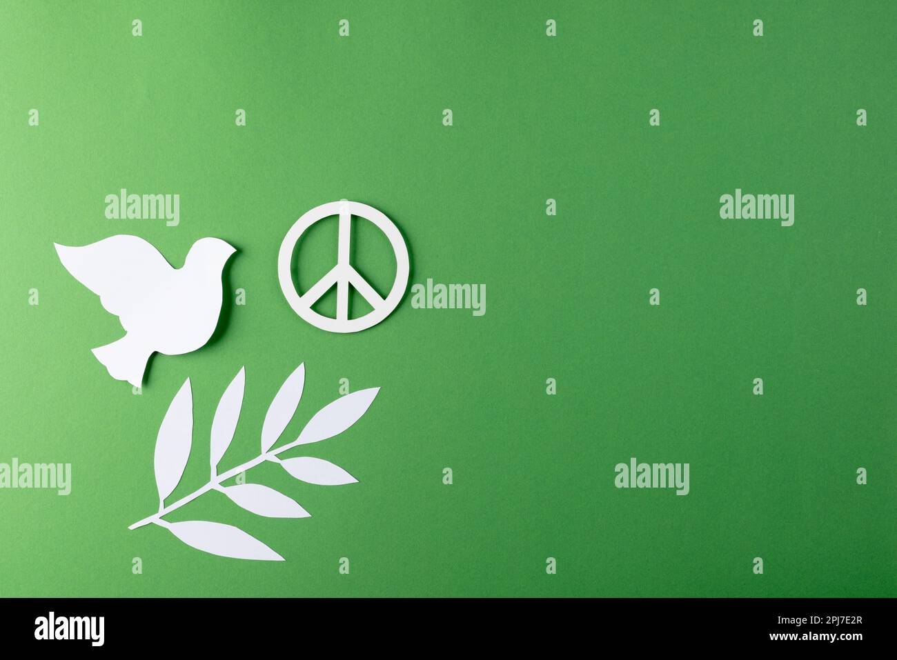 Primo piano di colomba bianca e segno di pace con foglie e spazio copia su sfondo verde Foto Stock