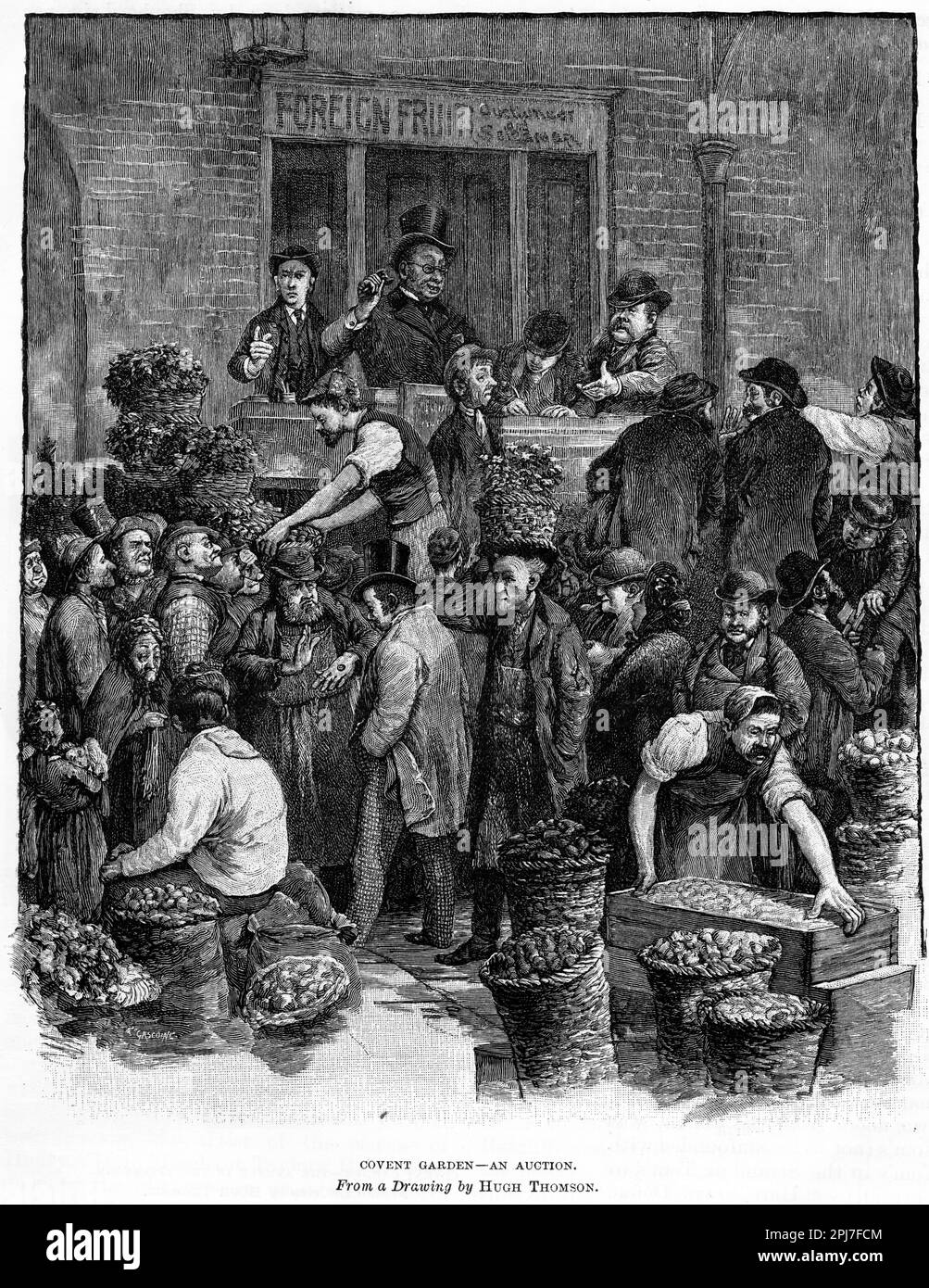 Incisione di un'asta per frutta e verdura a Covent Garden a Londra , circa 1880 Foto Stock