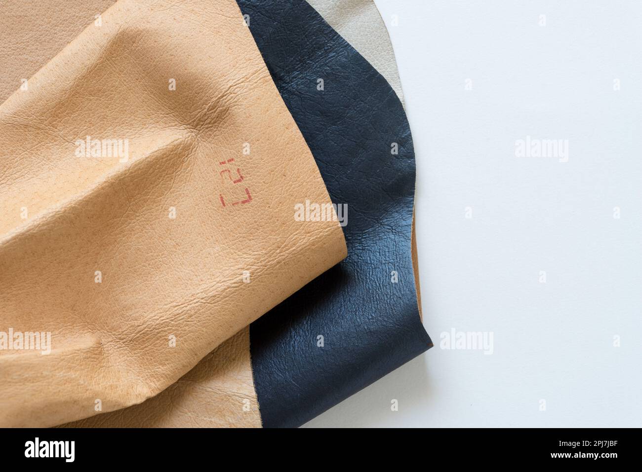 campione di pelle con stampigliatura piegata su carta Foto Stock