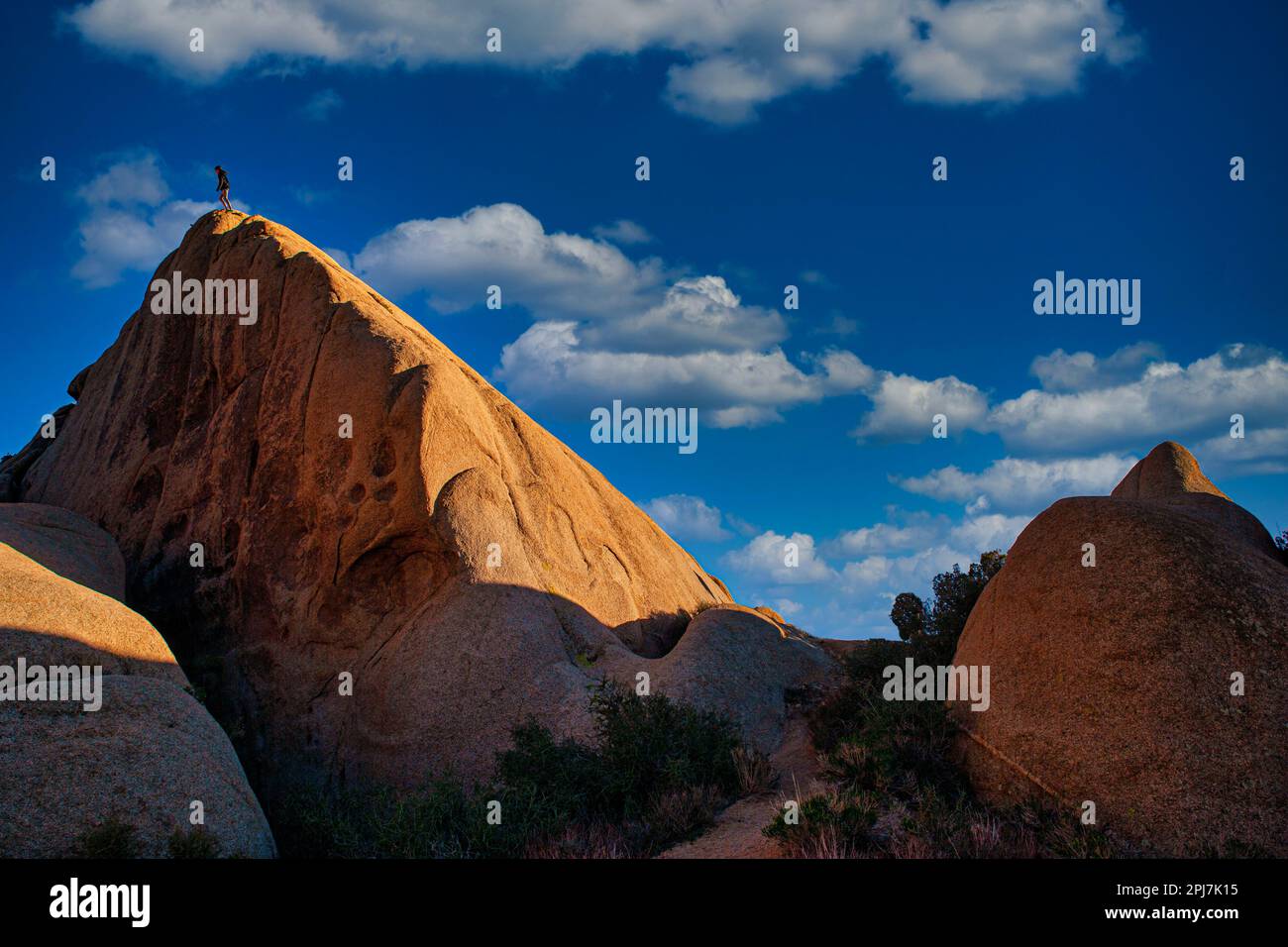Un intrepido escursionista si erge sulla cima di un'enorme formazione rocciosa nel Joshua Tree National Park Foto Stock