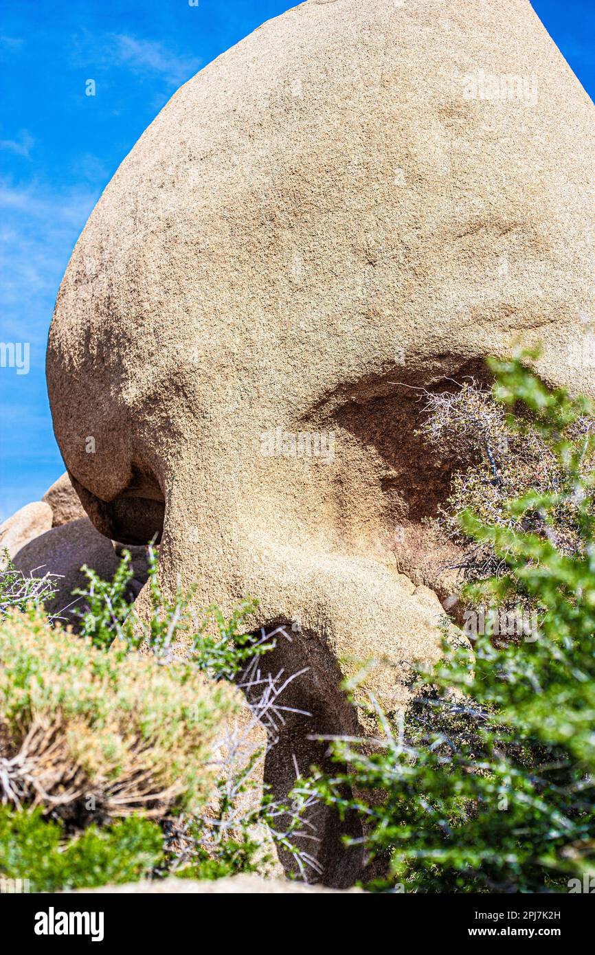 Insolita formazione rocciosa del cranio trovata nel parco nazionale dell'albero di Joshua Foto Stock