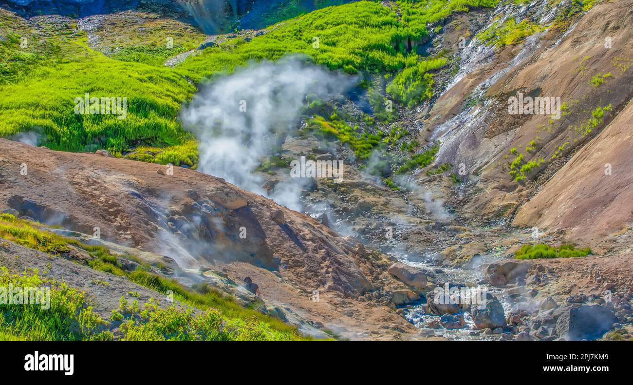 La Valle dei geyser, la riserva naturale di Kronotsky, la penisola di Kamchatka Foto Stock