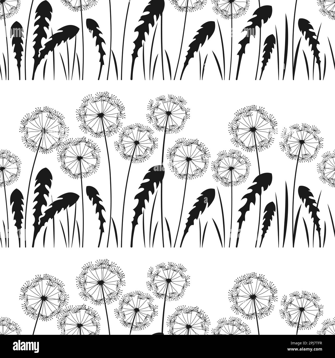 Modello senza cuciture con silhouette Dandelion. Astratto fiori dente di leoni fiore piante incise ripetizione carta da parati. Ornamento di fondo di modello floreale di disegno di botanica, decorazione vettoriale di scrapbook sconfinata Illustrazione Vettoriale