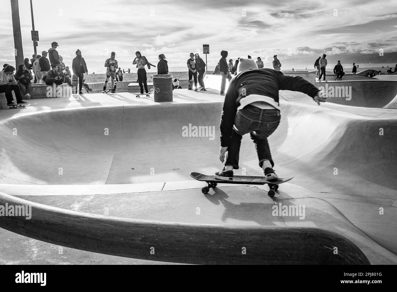 Venice Beach, California, Stati Uniti - Marzo 4 2019: Uno skater allo Skatepark di Venezia. Foto Stock