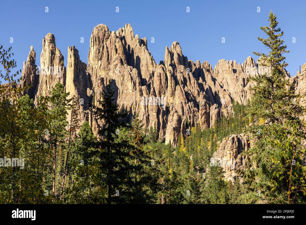 Cathedral Spires Trailhead a Custer state Park, Black Hills, South Dakota, Stati Uniti d'America Foto Stock