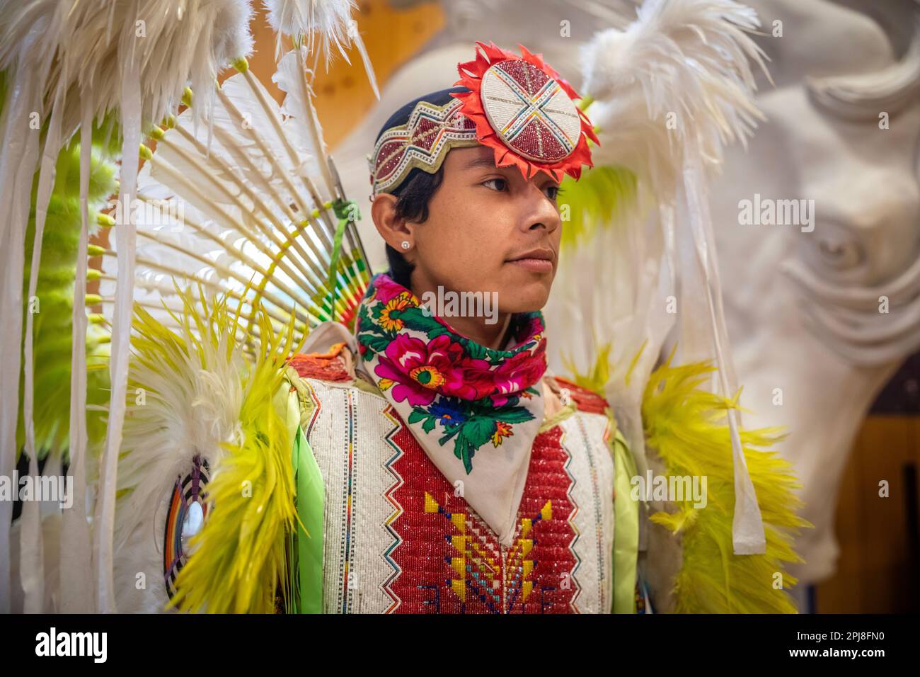 Danza tribale dei nativi americani Lakota Sioux al Crazy Horse Memorial, Black Hills, South Dakota, Stati Uniti d'America Foto Stock