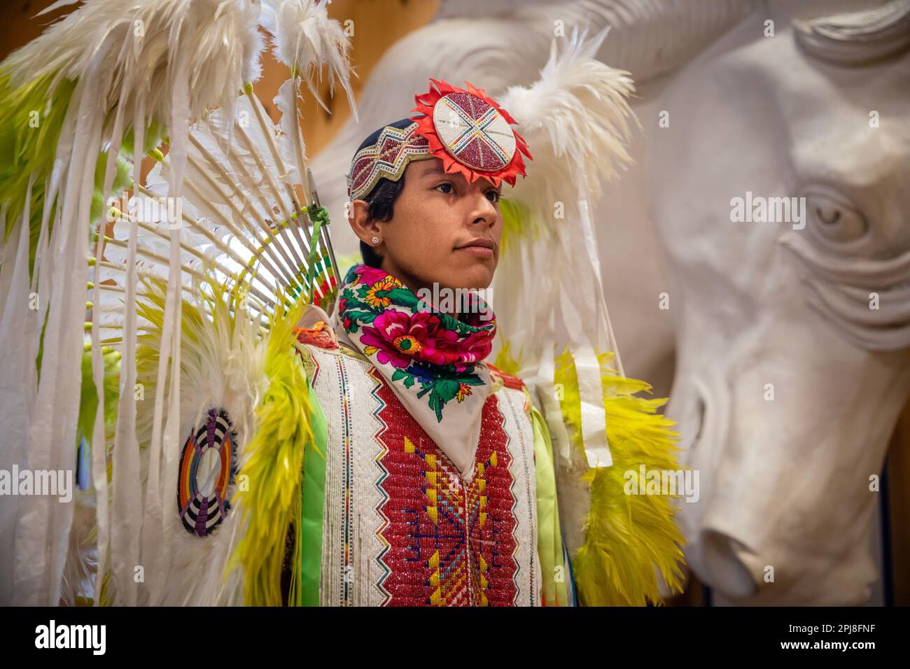 Danza tribale dei nativi americani Lakota Sioux al Crazy Horse Memorial, Black Hills, South Dakota, Stati Uniti d'America Foto Stock